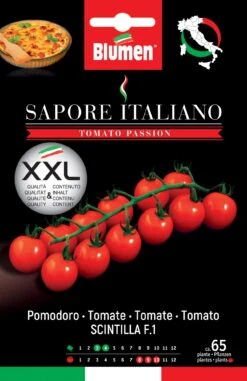 Tomate Sapore Italiano Scintilla F1 | Tomatensamen Von BLUMEN Group