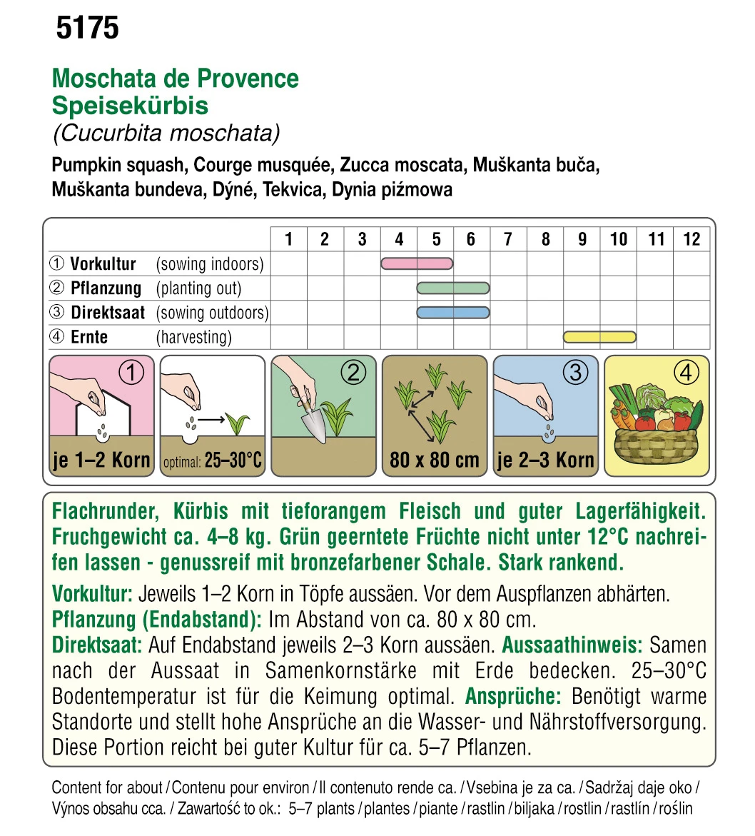 Kürbis Moschata De Provence | BIO Muskatkürbissamen Von Austrosaat 3 Kürbis Moschata De Provence | BIO Muskatkürbissamen Von Austrosaat