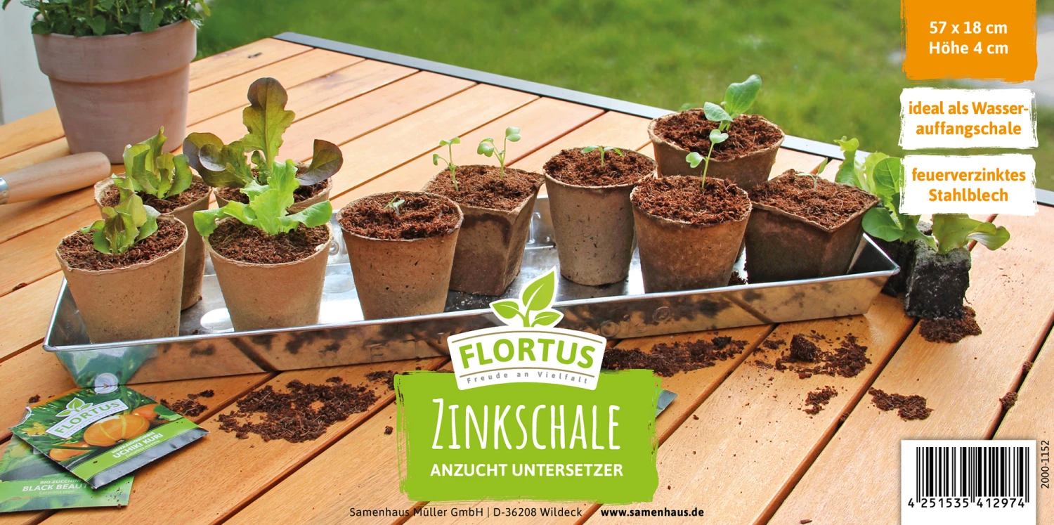 Zinkschale (1 Stück) | Anzuchtschalen Von FLORTUS 3 Zinkschale (1 Stück) | Anzuchtschalen Von FLORTUS