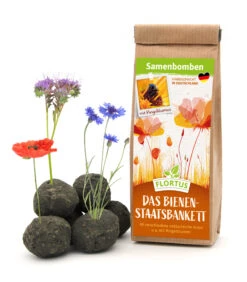 Samenbomben Das Bienenstaatsbankett (6 Stück) | Bienenwiese Von FLORTUS -Geschäft Für Pflanzensamenbedarf 562161 Samenbomben Das Bienenstaatsbankett 6 Stueck 2000 2356 1