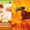 Samenbomben Das Bienenstaatsbankett (6 Stück) | Bienenwiese Von FLORTUS -Geschäft Für Pflanzensamenbedarf 562161 Samenbomben Das Bienenstaatsbankett 6 Stueck 2000 2356 2