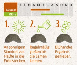 Samenbomben Das Bienenstaatsbankett (6 Stück) | Bienenwiese Von FLORTUS -Geschäft Für Pflanzensamenbedarf 562161 Samenbomben Das Bienenstaatsbankett 6 Stueck 2000 2356 4