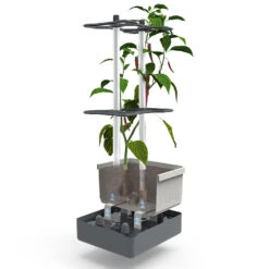 Charly Chili Chilitopf Inkl. Chilipflanze | Pflanzsets Von Gusta Garden X Chilivielfalt 9 Charly Chili Chilitopf Inkl. Chilipflanze | Pflanzsets Von Gusta Garden X Chilivielfalt -Geschäft Für Pflanzensamenbedarf 562593 Charly Chili Chilitopf inkl Chilipflanze 7600 6501 parent 17