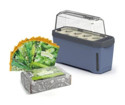 HARRY HERBS &amp; FLORTUS Kräuter Set | Anzuchtsets Von FLORTUS -Geschäft Für Pflanzensamenbedarf 562699 HARRY HERBS und FLORTUS Kraeuter Set 2000 2387 blau 1